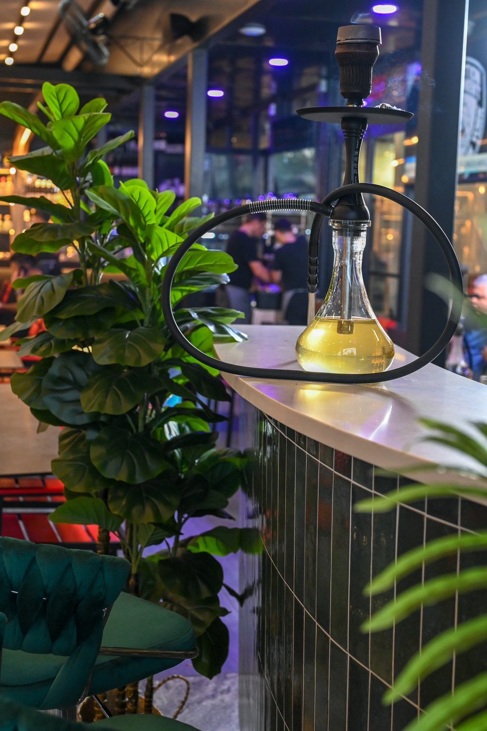 A hookah set up on the terrace bar under the pergola